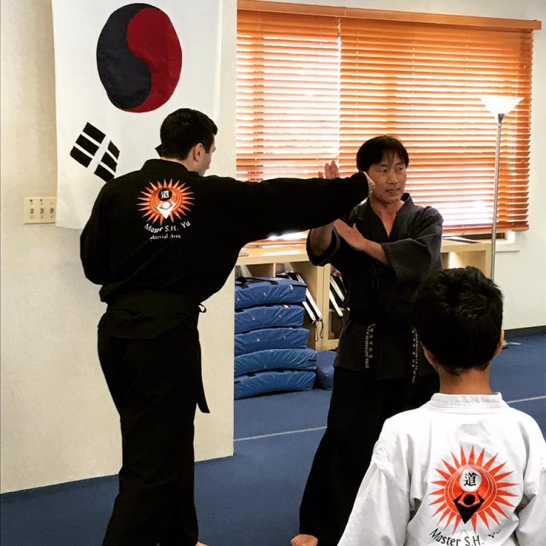 Master S.H. Yu Martial Arts Oak Park River Forest Karate Tae Kwon Do