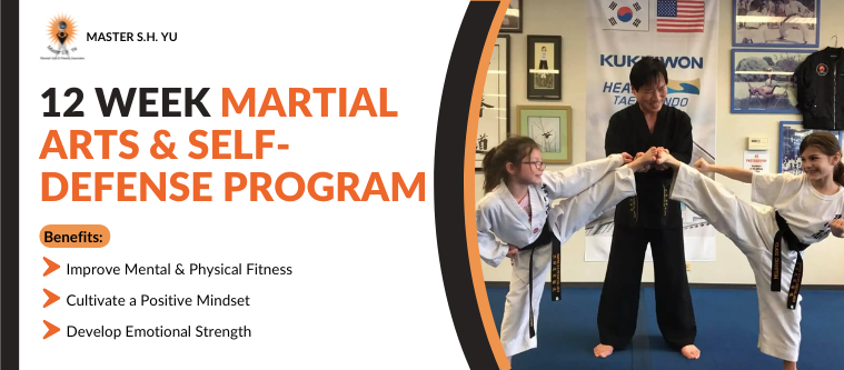 12 Week Martial Arts and Self Defense Program in Riverside, IL