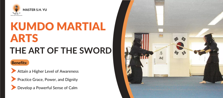 Oak Park, IL Kumdo Martial Arts - Master S.H. Yu