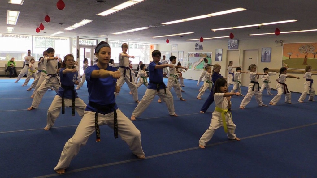 Kids Martial Arts in Oak Park, IL - Master S.H. Yu