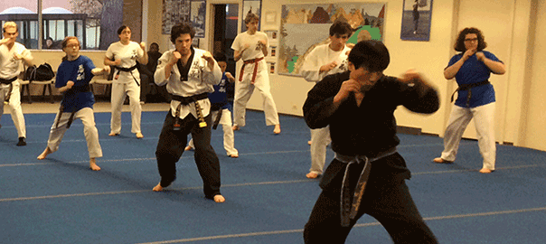 martial arts kicks