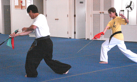 Private Martial Arts Training in Oak Park, IL - Master SH Yu Martial Arts