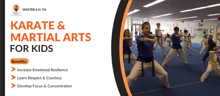 Karate and Martial Arts for Kids in Oak Park, IL