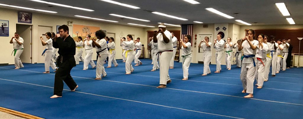 Martial Arts for Teens and Adults in Oak Park, IL - Master S.H. Yu