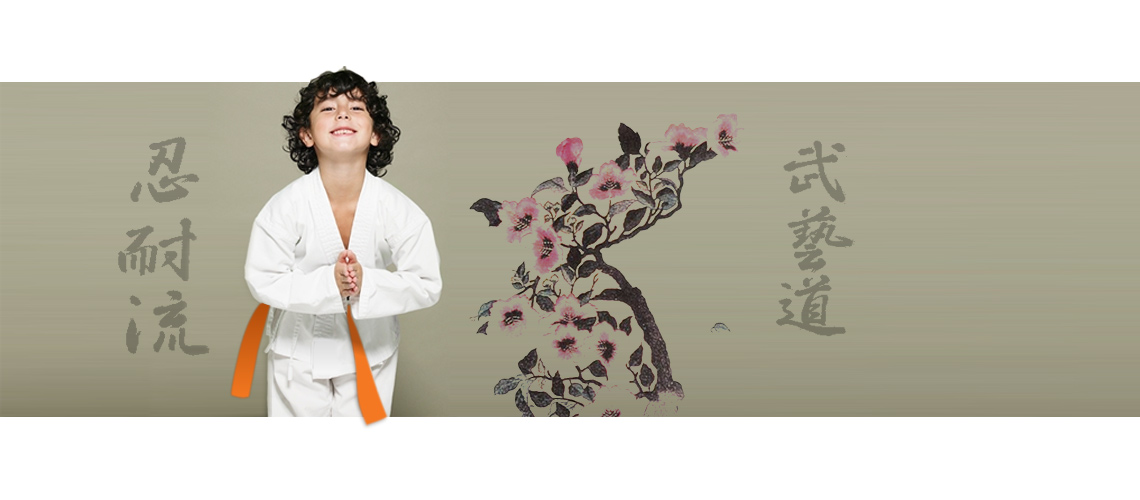Ninja Martial Arts