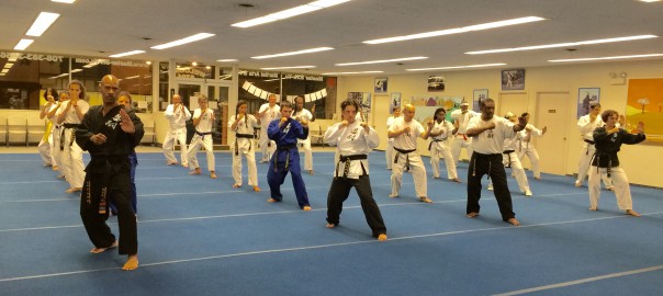Adult & Teen Karate Lesson – Elmwood Park, IL
