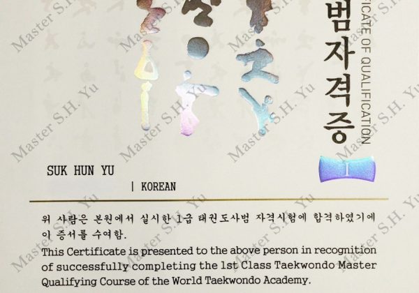 Kukkiwon World Tae Kwon Do Academy 1st Class Tae Kwon Do Master Kukkiwon World Tae Kwon Do Academy 1st Class Tae Kwon Do Master