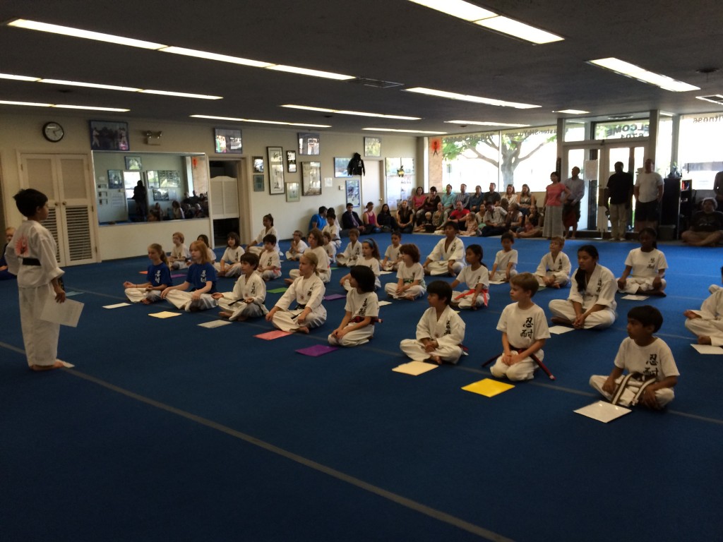 Master Yu Kids Karate Classes Riverside Il 