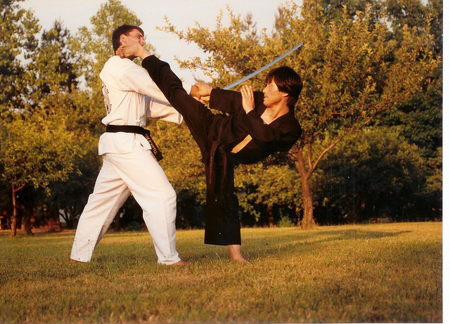 karate-lessons-master-s-h-yu-20