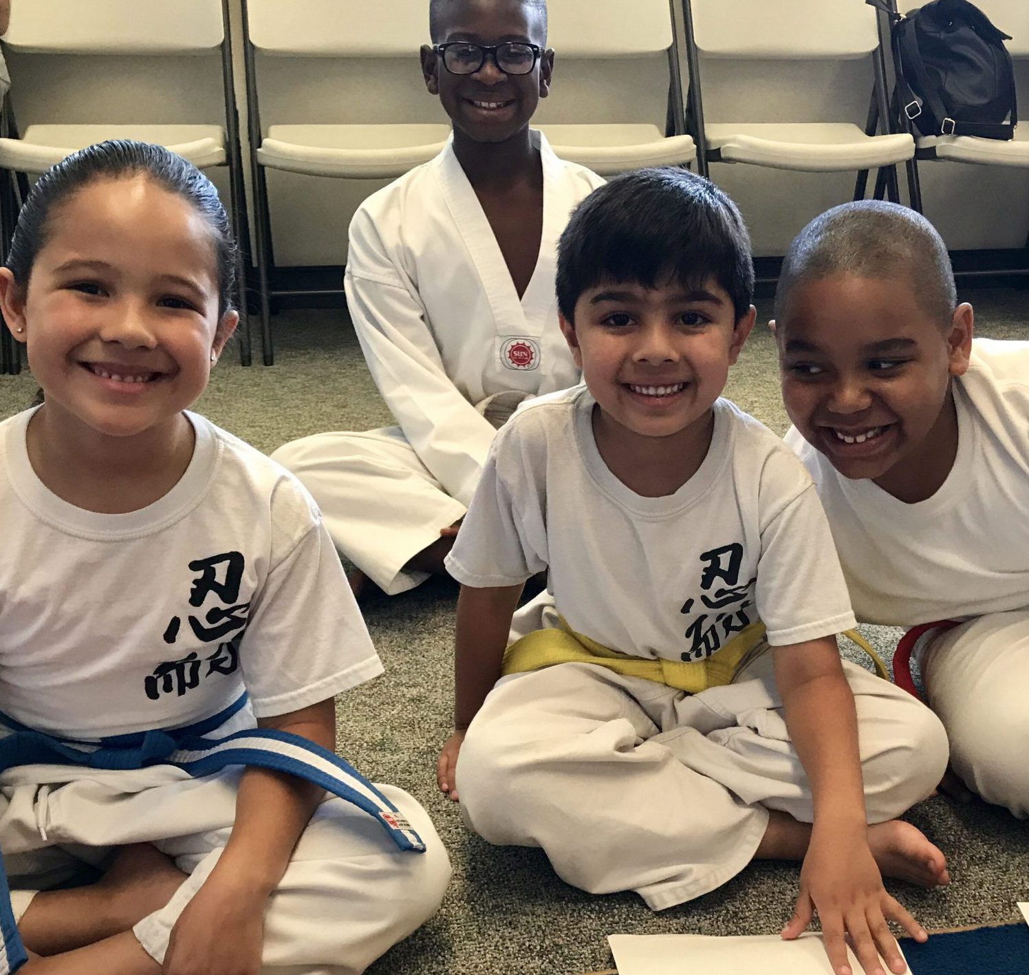 taekwondo journey essay