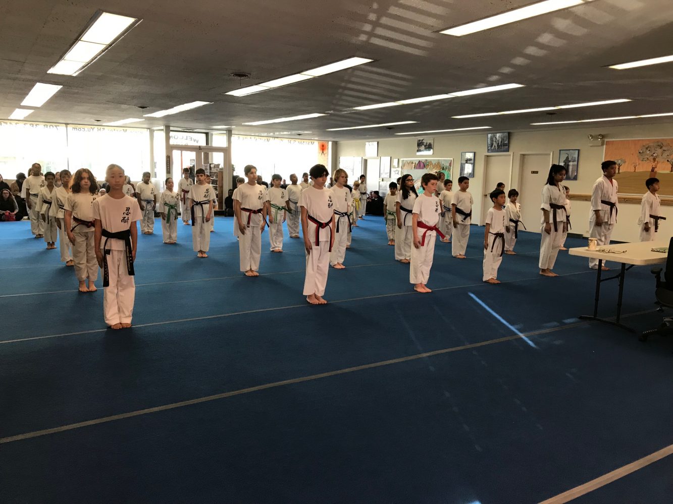 taekwondo journey essay