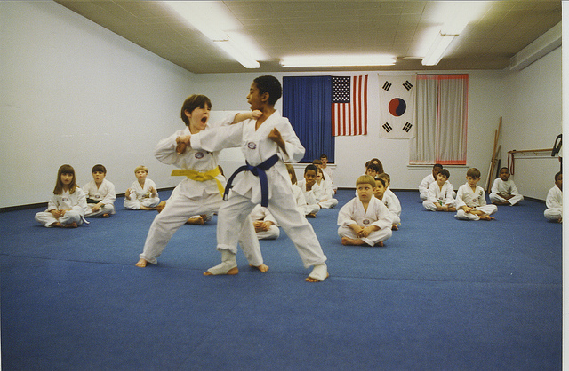 kids Karate - Riverside IL