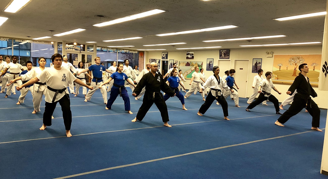 Evening Adventure:  Martial Arts For Me