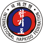 taekwondo journey essay