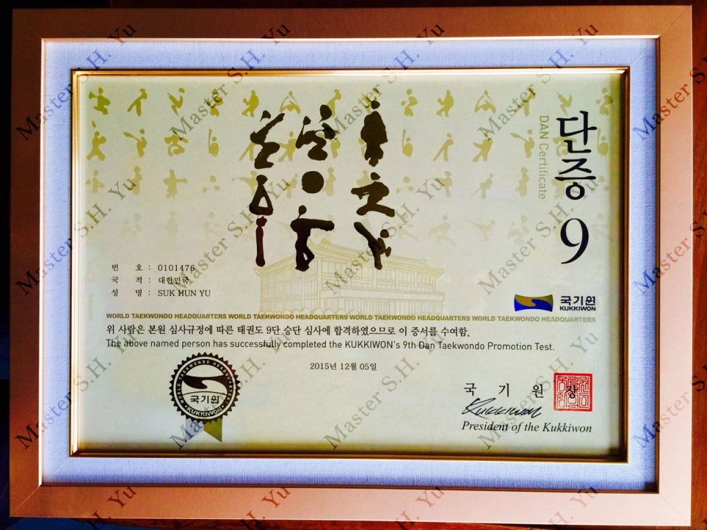 Taekwondo - 2. Kukkiwon World Tae Kwon Do Federation 9th Dan Certificate