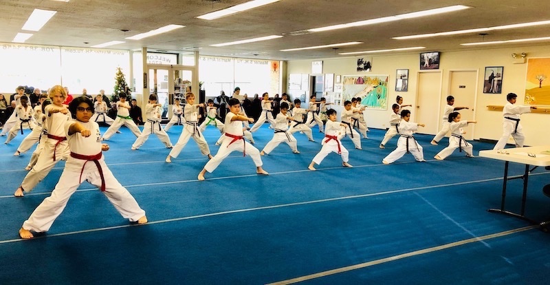 Kids Karate Classes - Master S.H. Yu Martial Arts