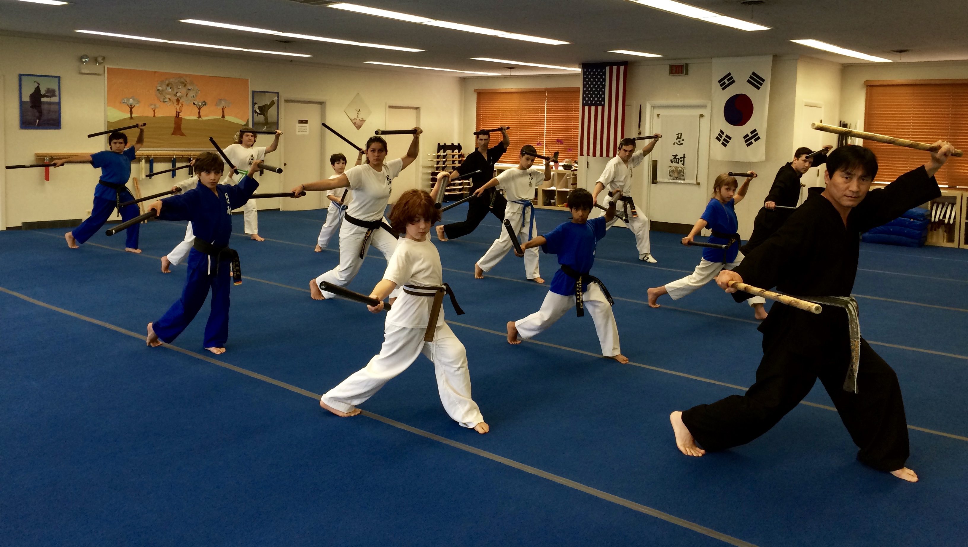 Karate and Tae Kwon Do Class in action Tae-Kwon-Do-Classes-in-Elmwood-Park-IL