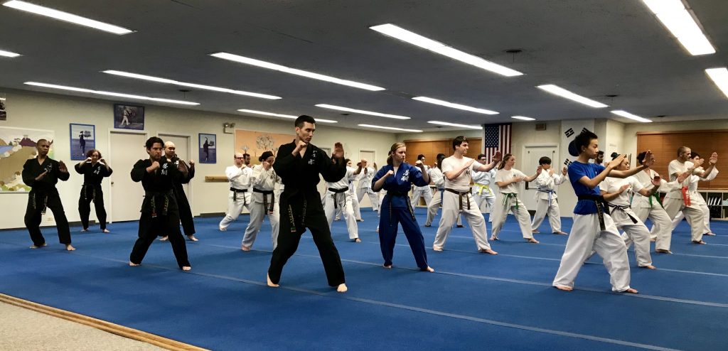 Traditional Martial Arts Classes in Oak Park, IL - Master Yu