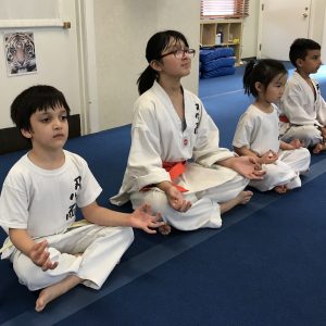 Children in Martial Arts Class