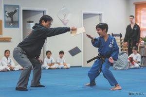 Martial Arts Program