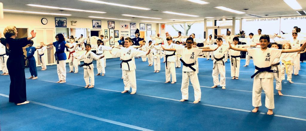 Kids Martial Arts Classes Oak Park