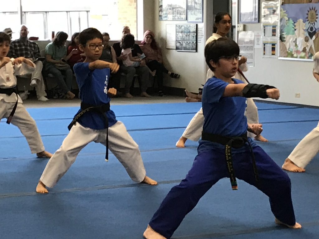 Martial Arts for Kids