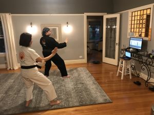 Virtual Martial Arts Classes