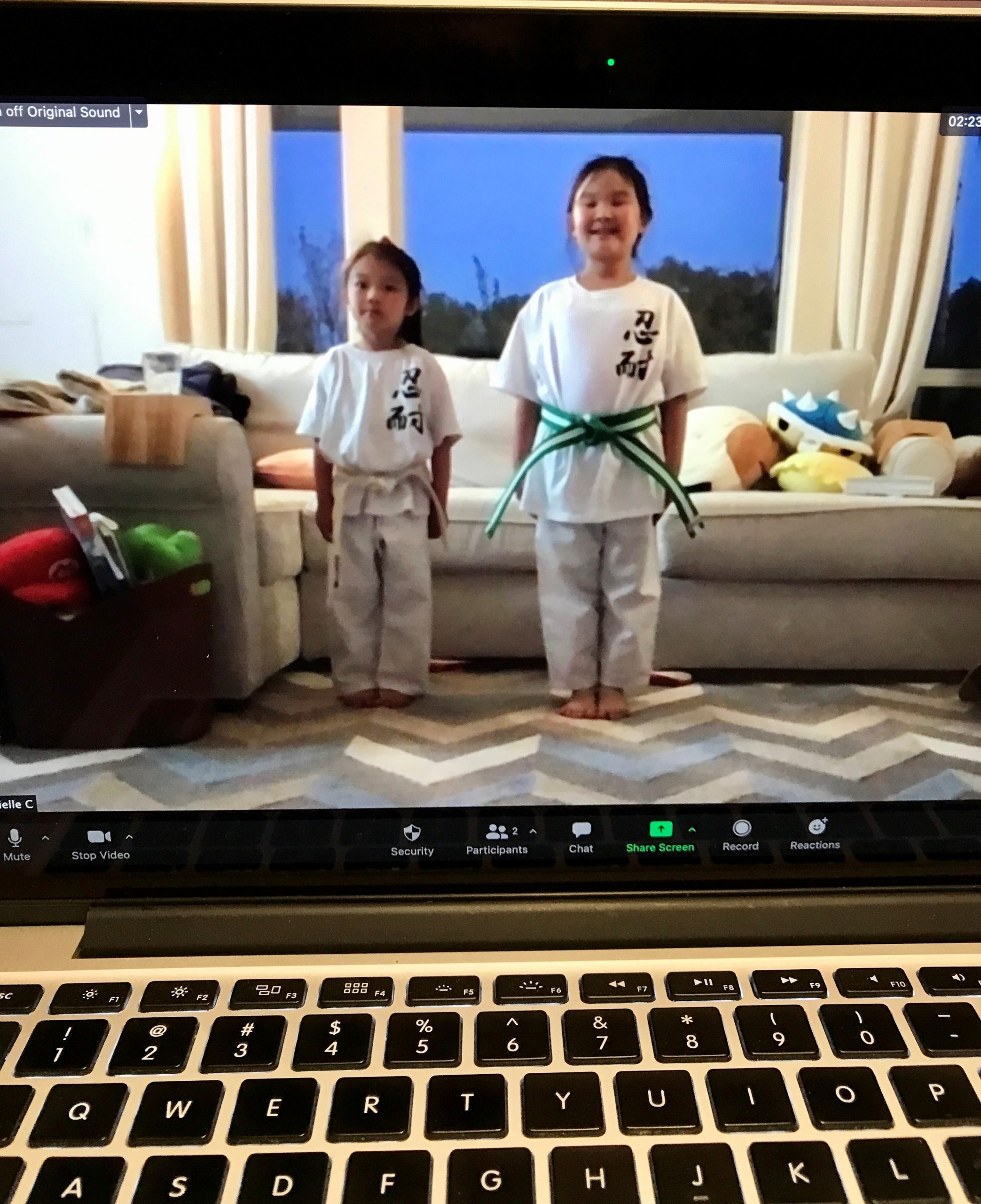 Martial Arts Students Training At Home