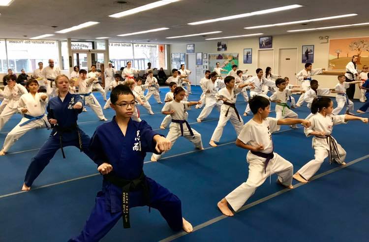 Taekwondo Karate Judo Aikido AAMA Plain Color Belt for Martial Arts 