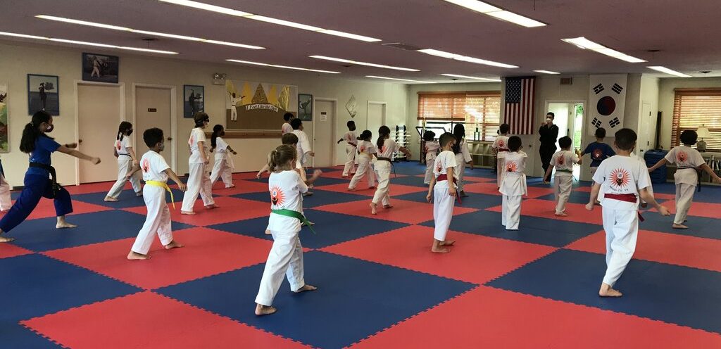 Martial arts students Oak Park IL training