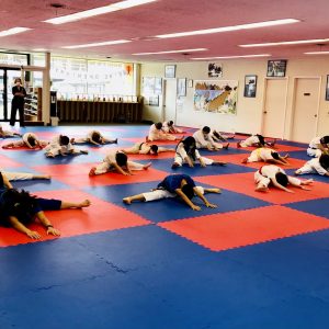 Martial Arts Students Warming Up