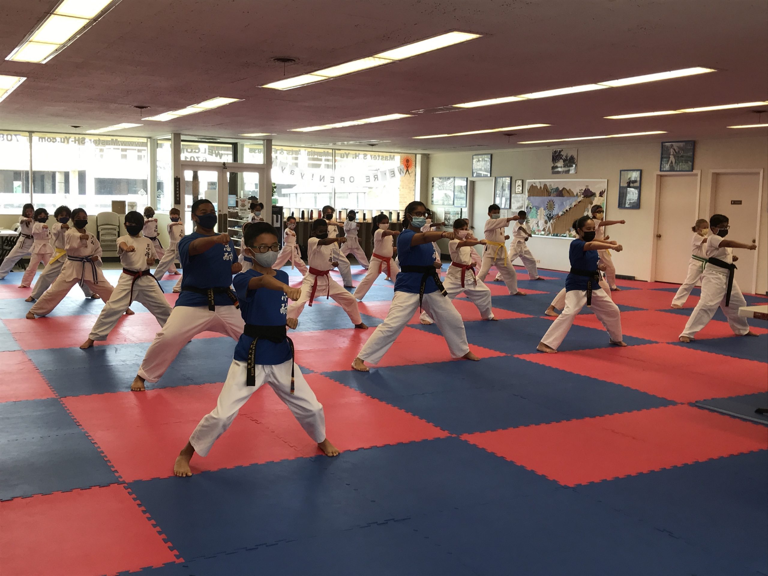 Students practicing martial arts