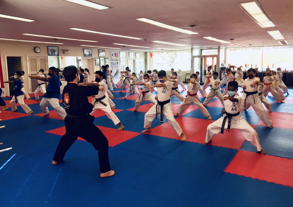 Students Practicing Martial Arts