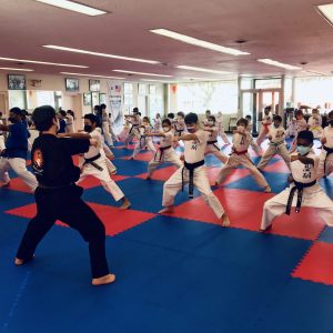 Martial Arts Promotion Test – June 2023