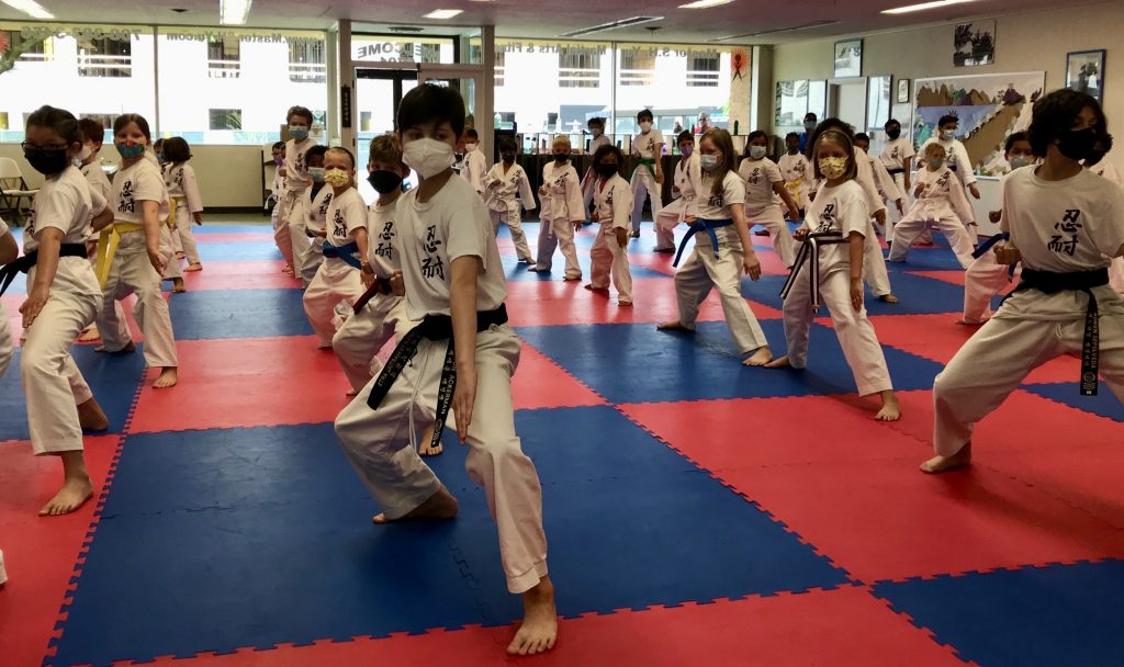 Students practicing martial arts moves daily