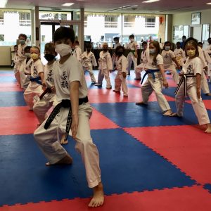 Students Practicing Martial Arts Moves Daily