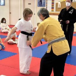 Private Martial Arts Lessons in Oak Park, IL