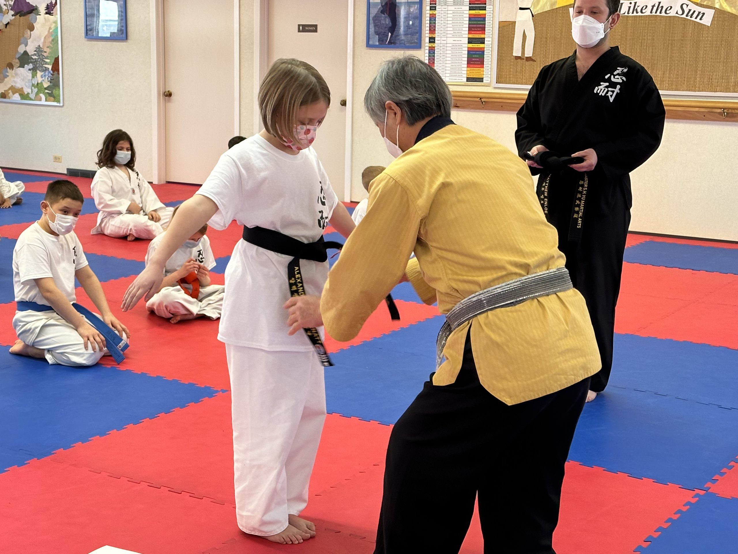 Private Martial Arts Lessons in Oak Park, IL