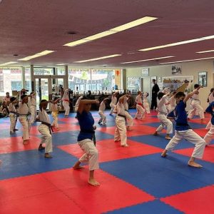Martial Arts Promotion Test – June 2024