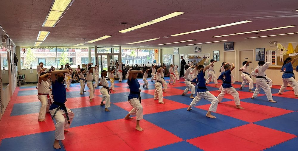 Easy Martial Arts Disciplines to Learn - Master S.H Yu Martial Arts Easy Martial Arts Disciplines to Learn - Master S.H Yu Martial Arts