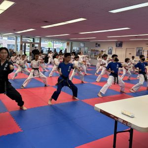 Where Did Martial Arts Originate? - Master Yu