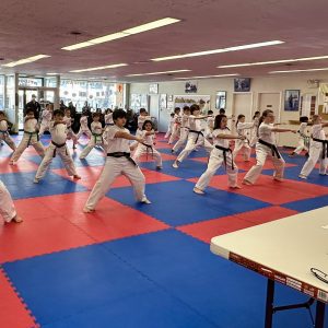 Private Martial Arts Classes in Oak Park, IL - Master S.H. Yu