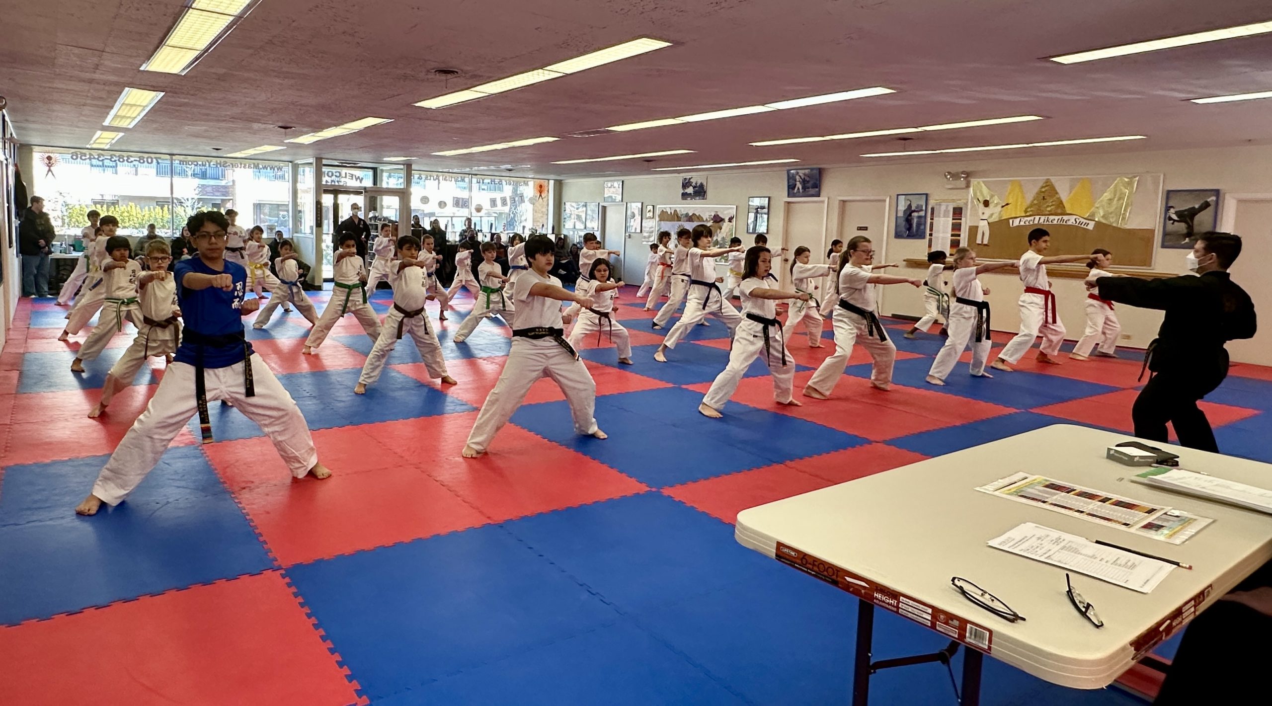 Private Martial Arts Classes In Oak Park, IL - Master S.H. Yu