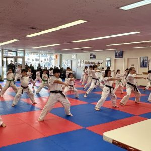 Martial Arts Promotion Test