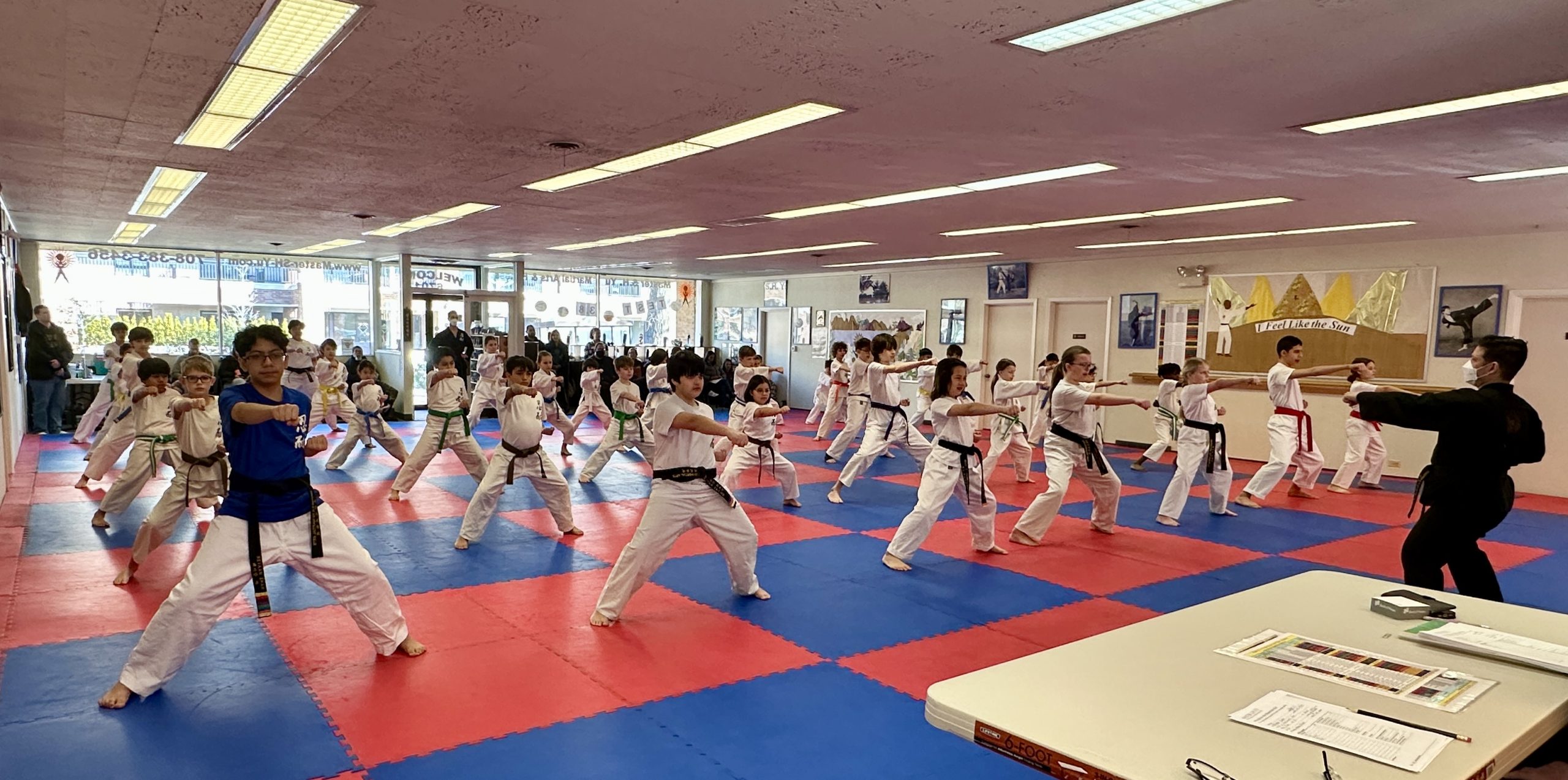 Traditional Martial Arts in Oak Park, IL - Master S.H. Yu