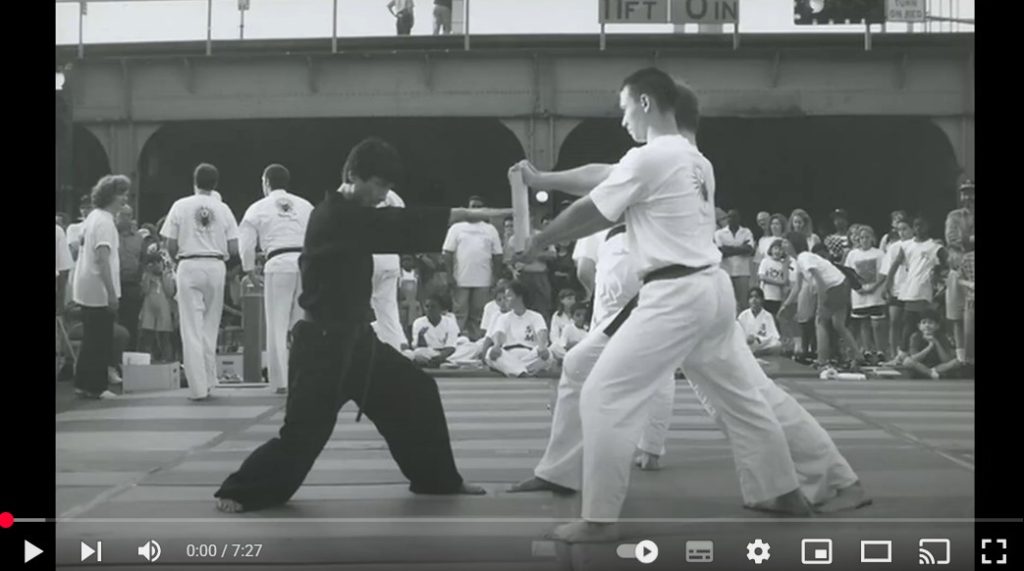 Self Defense Skills