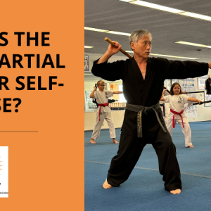 Best Martial Art For Self Defense - Master SH Yu