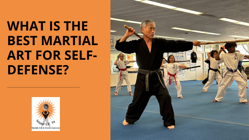 Best Martial Art For Self Defense - Master SH Yu