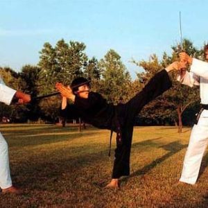 GrandMaster Yu Action Image 3