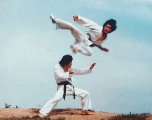 GrandMaster Yu Action Image 9